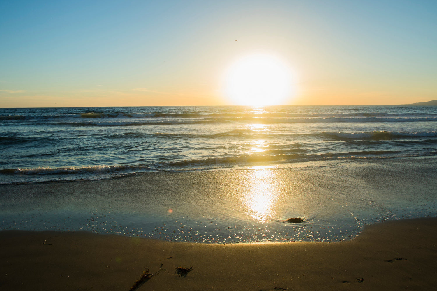 How Does the Body Get Rid of Toxins?